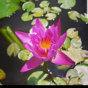 Meet your Posher, Kacey